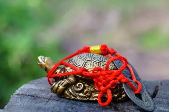 Black Hat Feng Shui Colors