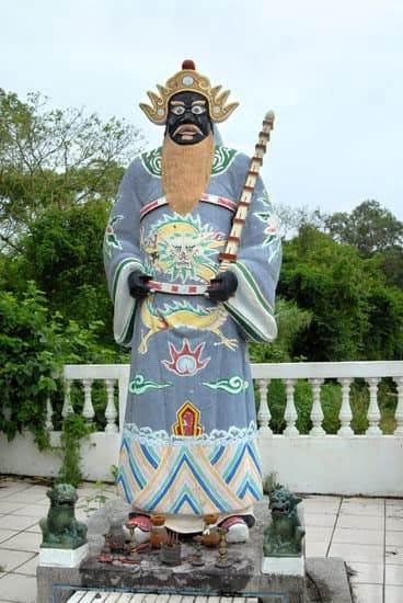Bird Fly Into House Feng Shui