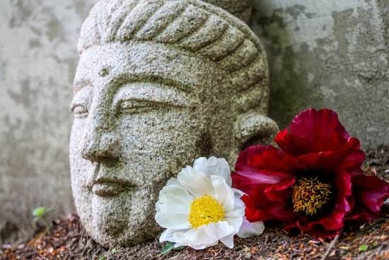 Donde Poner Las Medias De Navidad Segun Feng Shui 2019 1 Donde Poner Las Medias De Navidad Segun Feng Shui 2019