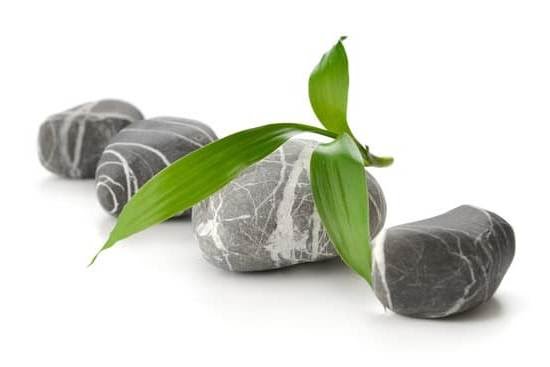 Feng Shui 2004 Trailer Feng Shui 2004 Trailer