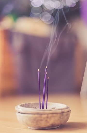 Canard Mandarin Feng Shui 1 Canard Mandarin Feng Shui