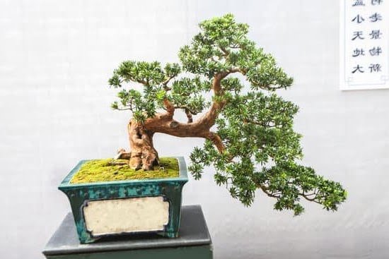 Feng Shui 2 Deaths 1 Feng Shui 2 Deaths