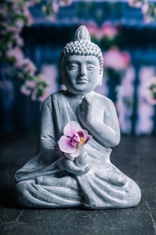Feng Shui Yard Designs