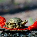 Feng Shui Recommended Websites And Blogs Feng Shui Recommended Websites And Blogs