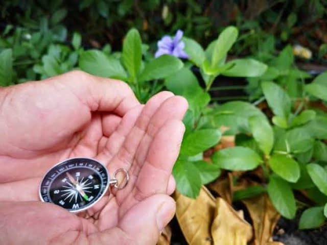 Feng Shui Bedroom Plan 1 Feng Shui Bedroom Plan