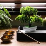 Feng Shui Colors For Home Office Feng Shui Colors For Home Office