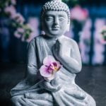 Feng Shui Homes Long House Vs Wide House