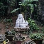 Feng Shui House Number 37 Feng Shui House Number 37