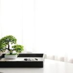 Feng Shui For Abundance And Wealth Feng Shui For Abundance And Wealth