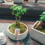 Feng Shui For Health And Family Feng Shui For Health And Family