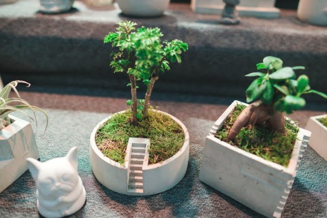 Feng Shui For Health And Family