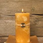 Feng Shui Plants For Good Health Feng Shui Plants For Good Health