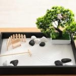 Plants For Wealth Feng Shui Plants For Wealth Feng Shui