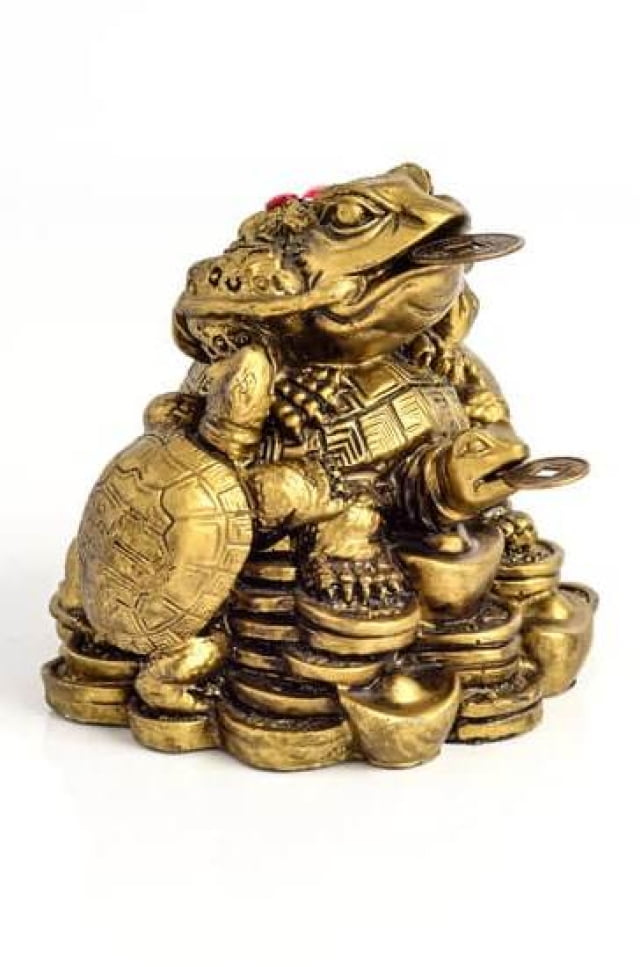 Best Plant For Feng Shui Wealth Corner