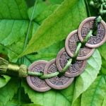 Buy Feng Shui Posters For Wealth