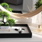 Feng Shui Boars Health Wealth Prosperity And Success