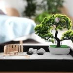 Feng Shui Bracelet For Health And Wealth Feng Shui Bracelet For Health And Wealth