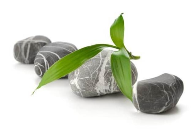 Feng Shui In The Home For Wealth 1 Feng Shui In The Home For Wealth