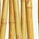 Feng Shui Secrets For Wealth Feng Shui Secrets For Wealth