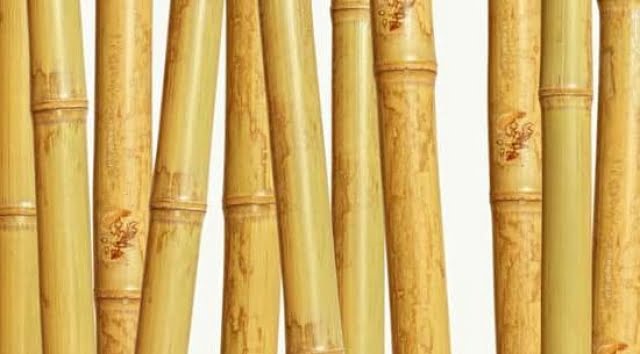 Feng Shui Secrets For Wealth 1 Feng Shui Secrets For Wealth