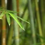 Feng Shui Tips For Health And Energy