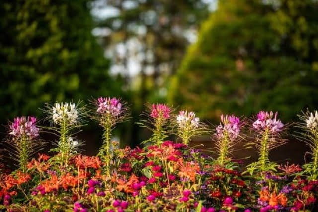 Feng Shui&Health 1 Feng Shui&Health