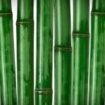 House Arrangement Feng Shui 2021 House Arrangement Feng Shui 2021