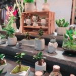 House Feng Shui Direction 2015
