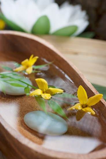 Feng Shui Symbols for Health and Longevity 1 Feng Shui symbols for health and longevity: auspicious lotus and bamboo arrangements