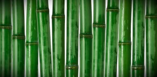 Feng Shui Health Bedroom: A serene space promoting well-being and positive energy for better health