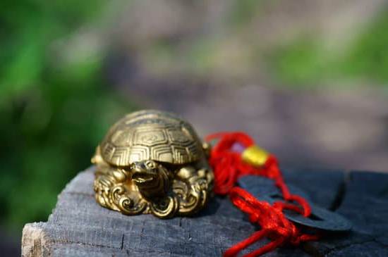 Feng Shui 2018 for Rabbit Love 1 Feng Shui 2018 for Rabbit Love: Harness positive energy and attract love in your life