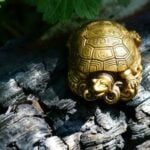 How to Enhance Health Area Feng Shui: Tips for Optimal Well-being