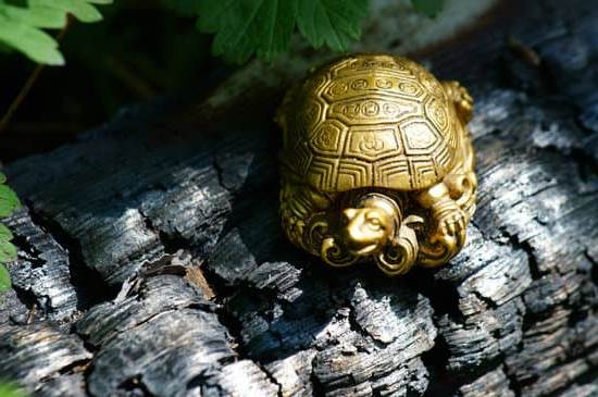 How to Enhance Health Area Feng Shui: Tips for Optimal Well-being