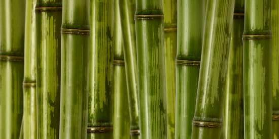 How to Feng Shui Office Desk 1 Feng Shui your office desk with these expert tips on creating a harmonious workspace