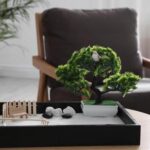 Suggested placement for bonsai tree in bedroom according to feng shui principles