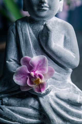 Lush green plants to enhance bedroom Feng Shui and create a harmonious environment