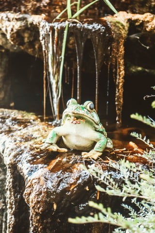 Is Brick Feng Shui House Good 1 Benefits of having a brick Feng Shui house: Creating positive energy flow