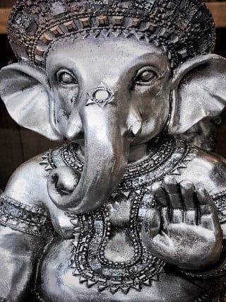 Good Feng Shui Object for Health 1 An auspicious jade plant, a good Feng Shui object for health and positive energy