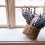 How to Feng Shui My New House How to Feng Shui Your New House: Simple Tips for Creating Harmony and Balance