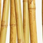 Feng Shui Northwest Bedroom Enhancing Harmony and Balance in Your Northwest Bedroom with Feng Shui Principles