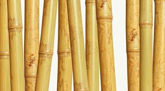 Enhancing Harmony and Balance in Your Northwest Bedroom with Feng Shui Principles