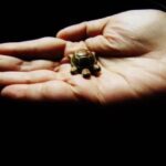 Whats the Best Feng Shui Color for the Bedroom whats the best feng shui color for the bedroom