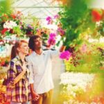 Colours in Bedroom Feng Shui Harmonious bedroom colors according to Feng Shui principles