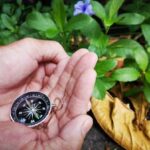 Plants in Bedroom Feng Shui Enhance Bedroom Feng Shui with Plants: Tips for Incorporating Plants in Bedroom for Better Energy Flow