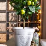 Feng Shui Bedroom Door Facing North Optimize Feng Shui Bedroom: Door Facing North