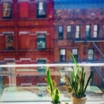 Feng Shui Bedrooms Pictures Serene feng shui bedrooms in pictures for harmony and balance