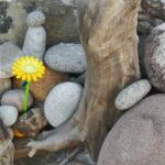 Feng Shui Bedroom Window Placement: Harmonizing chi flow for peaceful rest and balance