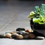 Best Color for Master Bedroom Walls Feng Shui Energizing red, calming blue, or soothing green - Best Color for Master Bedroom Walls Feng Shui