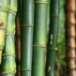 Feng Shui Mirrors Bedroom Enhance Positive Energy with Feng Shui Mirrors in the Bedroom