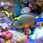 Serenely arranged bedroom with a well-positioned window, following the principles of Feng Shui